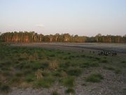 sandy_creek_billabong