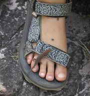 litchfield_surprice_creek