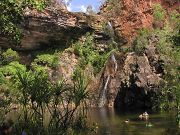 litchfield_tjaynerra_falls