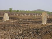 litchfield_magnetic_termite_mounds