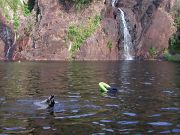 litchfield_wangi_falls