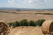 138_Toscana_Le_Crete_s