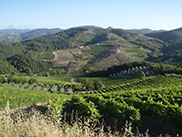 131_cykeltur_Toscana_C