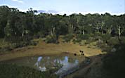vandhul_treetop_lodge