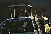 gepard_fotojaeger