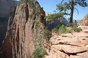 angels_landing_trail
