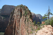 angels_landing_trail