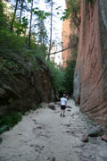 zion_hidden_canyon_tra