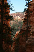 bryce_navajo_loop
